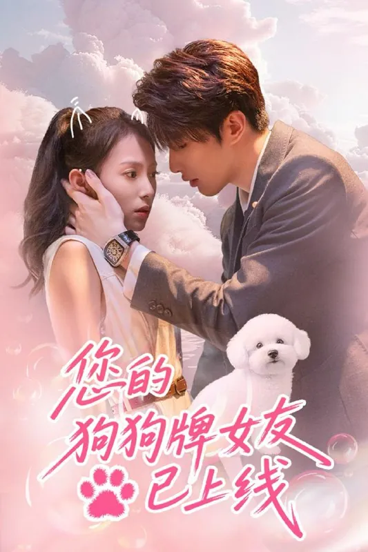 您的狗狗牌女友已上线net 网络资源