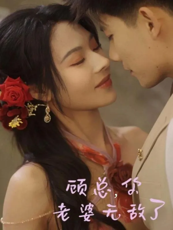 顾总你老婆无敌了net 网络资源