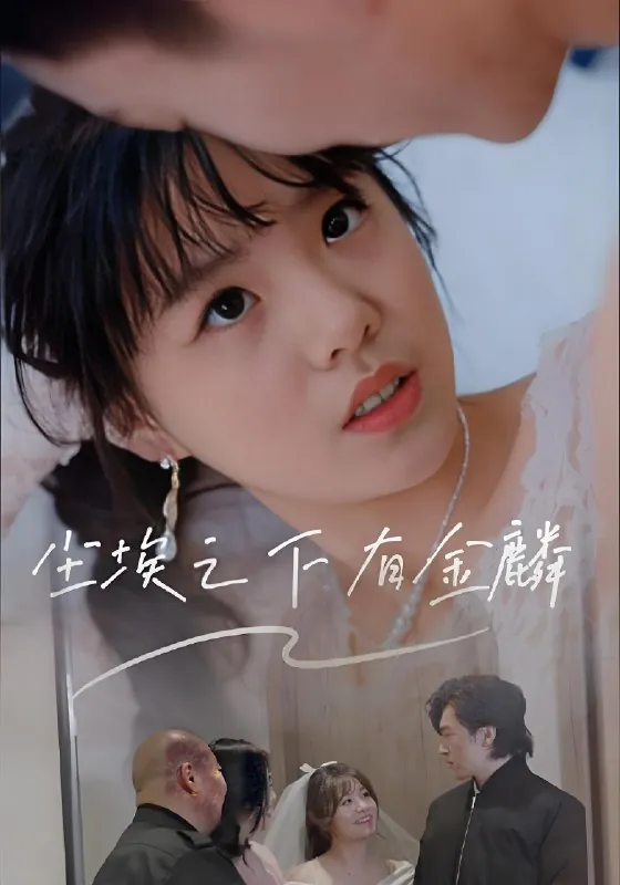 尘埃之下有金鳞net 网络资源