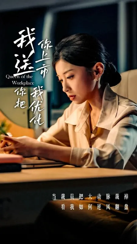 我送你上市你把我优化net 网络资源
