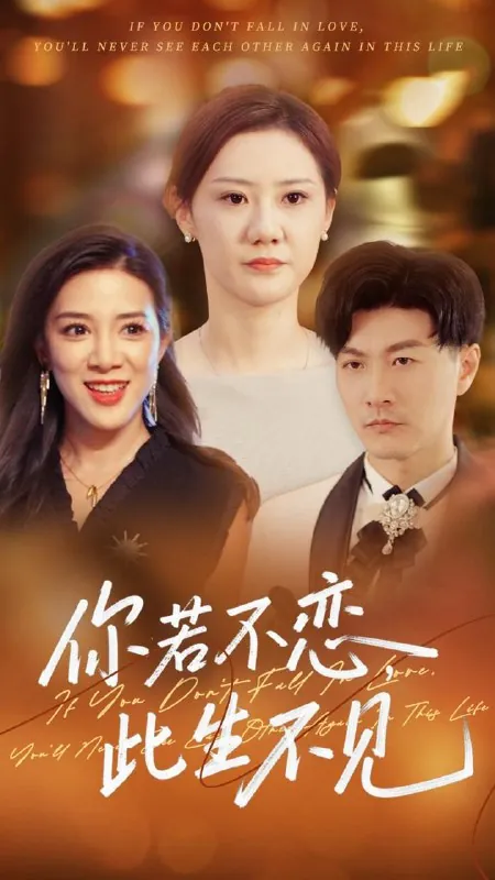 你若不恋此生不见短剧net 网络资源