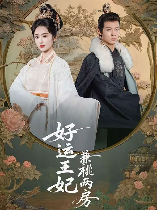 好运王妃兼祧两房net 网络资源
