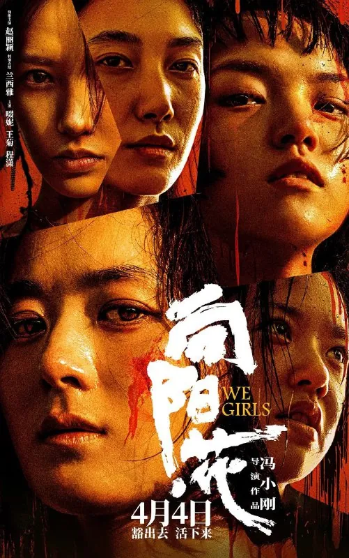 向阳花/向阳·花net 网络资源