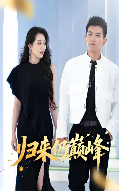 归来仍巅峰net 网络资源