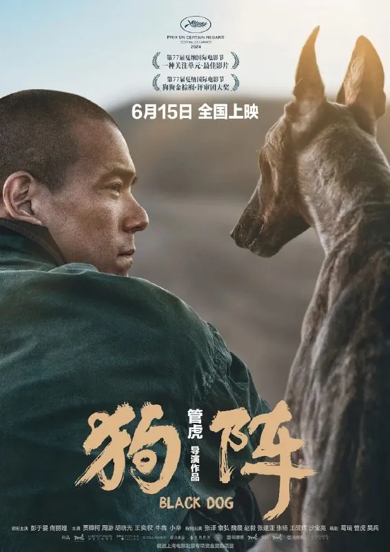 狗阵net 网络资源