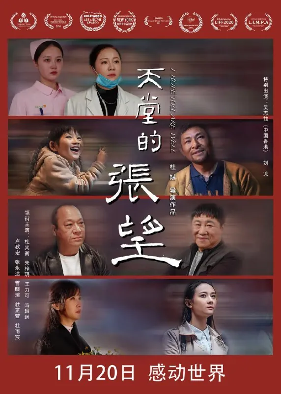 天堂的张望2020net 网络资源