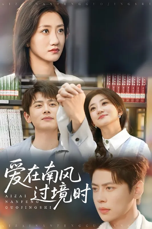 爱在南风过境时net 网络资源