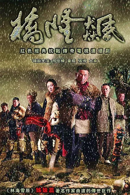 桥隆飙2010net 网络资源