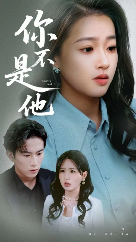 你不是他net 网络资源
