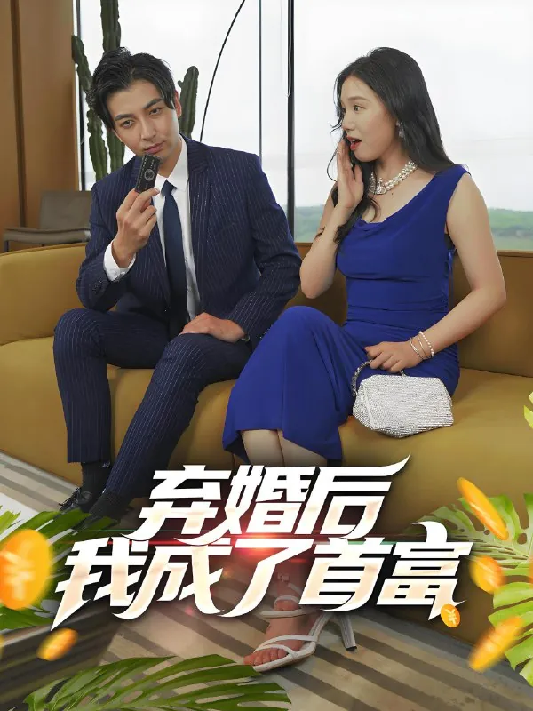 修罗帅&弃婚后我成了首富net 网络资源