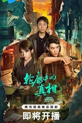 轮廓中的真相[2025]net 网络资源