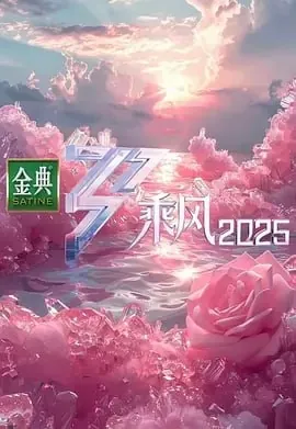 乘风2025 网络资源