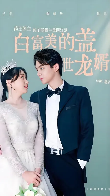 白富美的盖世龙婿net 网络资源