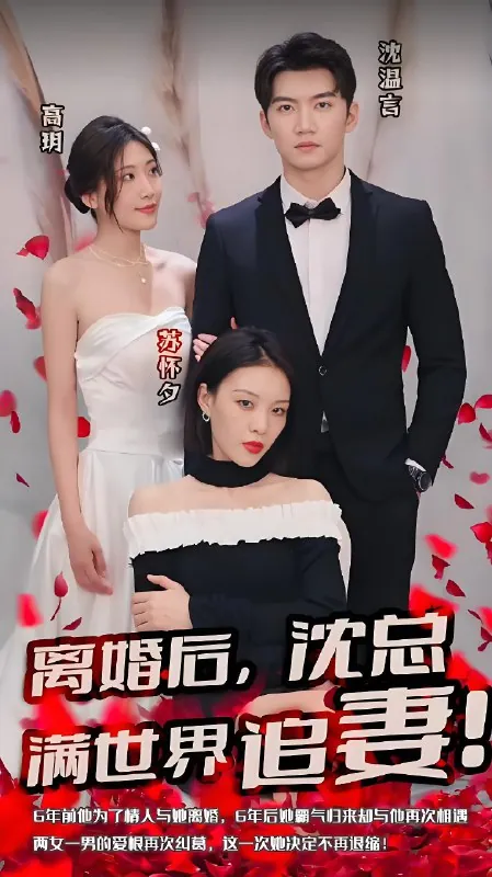 离婚后沈总满世界追妻net 网络资源