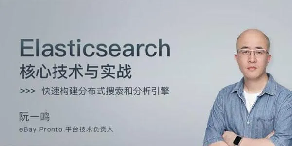 极客时间-阮一鸣-Elasticsearch核心技术与实战net 网络资源