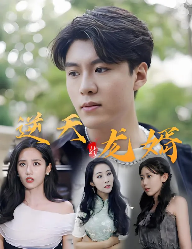 逆天龙婿net 网络资源