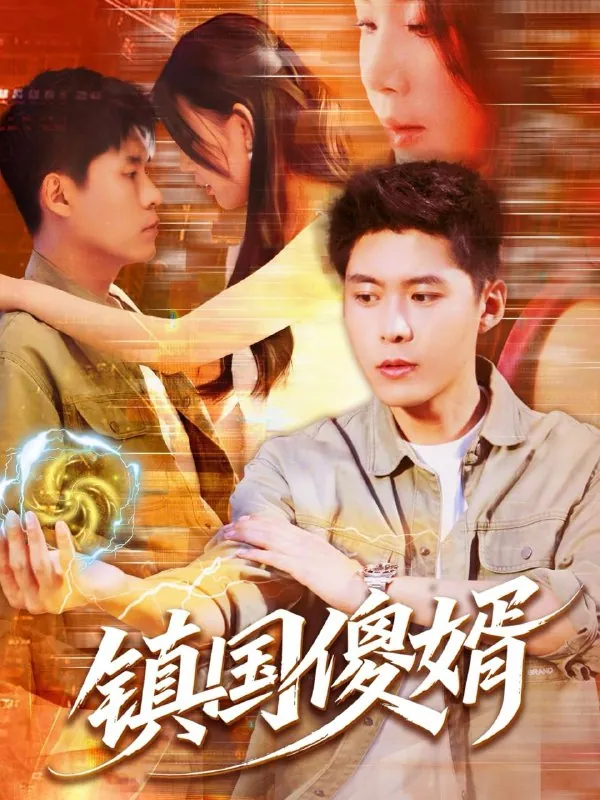 镇国傻婿net 网络资源