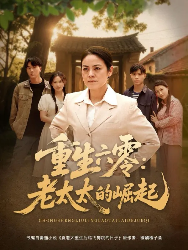 重生六零：老太太的崛起net 网络资源
