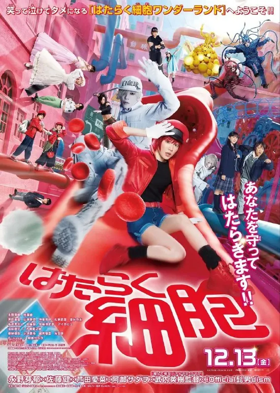 工作细胞真人版2024net 网络资源