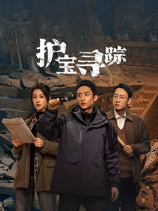 护宝寻踪2025 网络资源