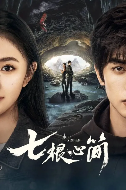 七根心简（2025）net 网络资源