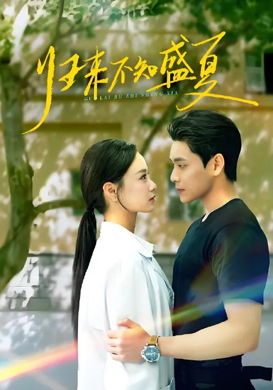 归来不知盛夏net 网络资源