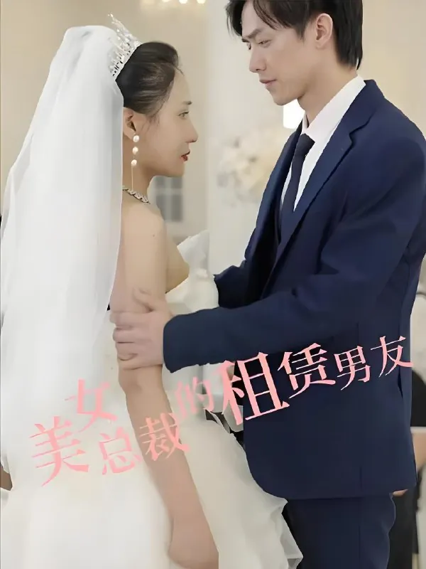 美女总裁的租赁男友net 网络资源