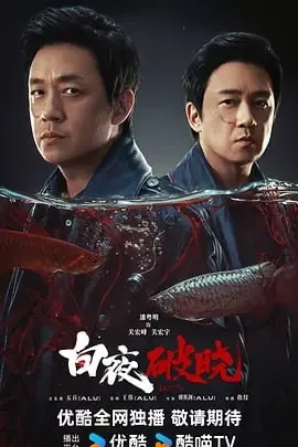 白夜破晓net 网络资源