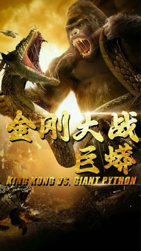 2025年5月23日合集目录8net 网络资源
