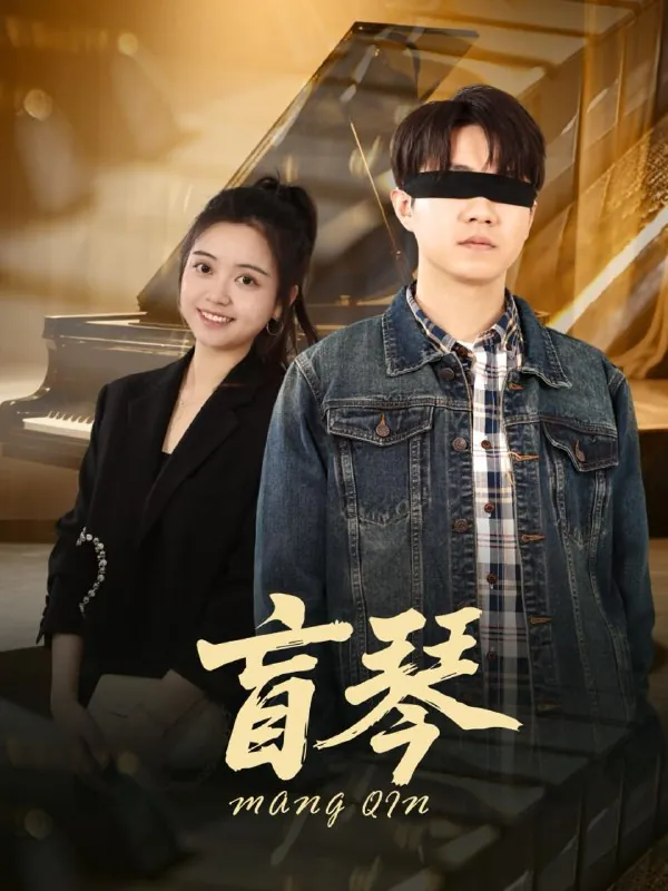 盲琴net 网络资源