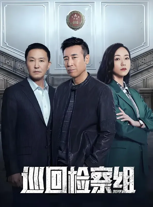 巡回检察组net 网络资源