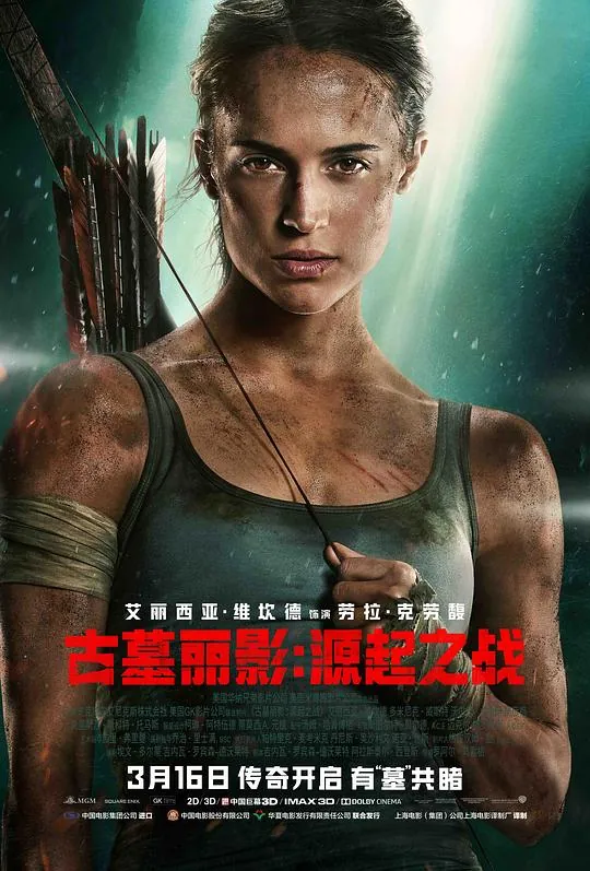 古墓丽影：源起之战net 网络资源
