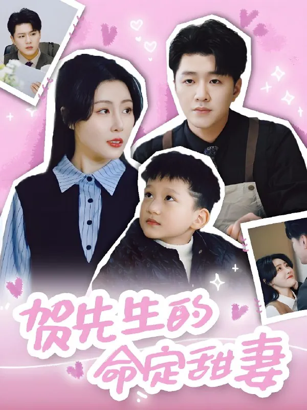 贺先生的命定甜妻net 网络资源