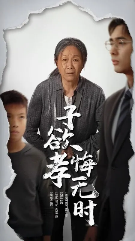 子欲孝悔无时net 网络资源