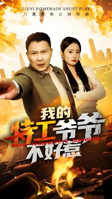 我的特工爷爷不好惹net 网络资源