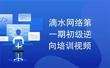 滴水逆向破解实战班第一期net 网络资源