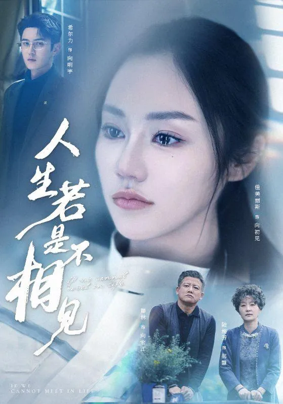 2025年6月2日合集目录4 网络资源
