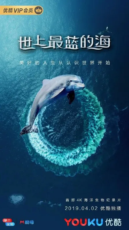 世上最蓝的海net 网络资源