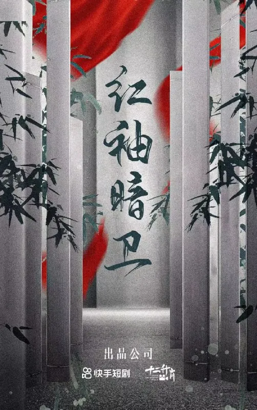 红袖暗卫net 网络资源