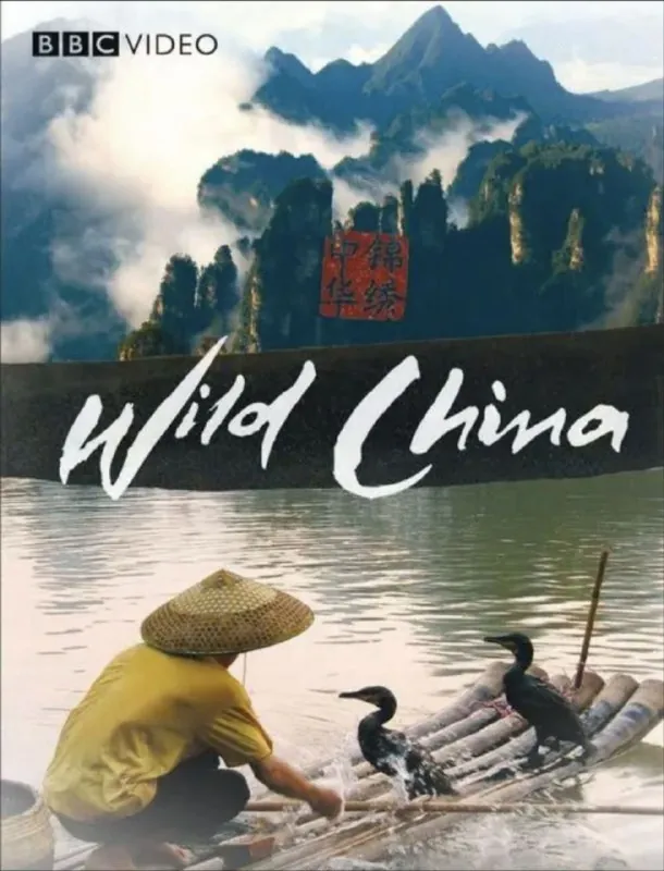 美丽中国 网络资源