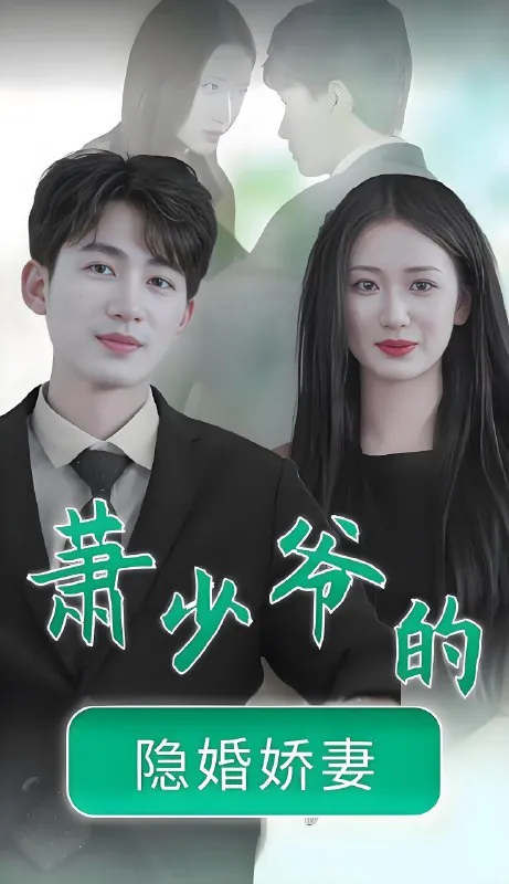 萧少爷的隐婚娇妻net 网络资源