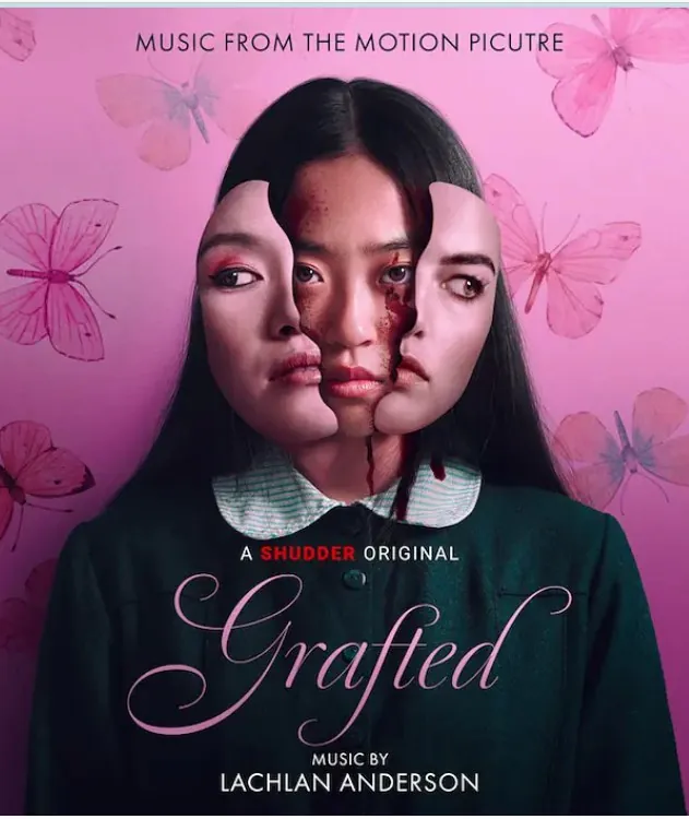 移植Graftednet 网络资源