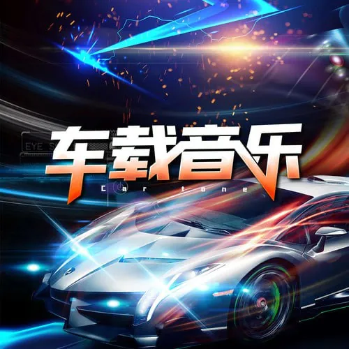 车载经典流行环绕歌曲（200首）net 网络资源