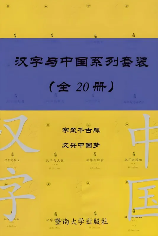 汉字与中国系列套装net 网络资源
