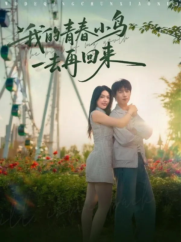 我的青春小鸟一去再回来net 网络资源