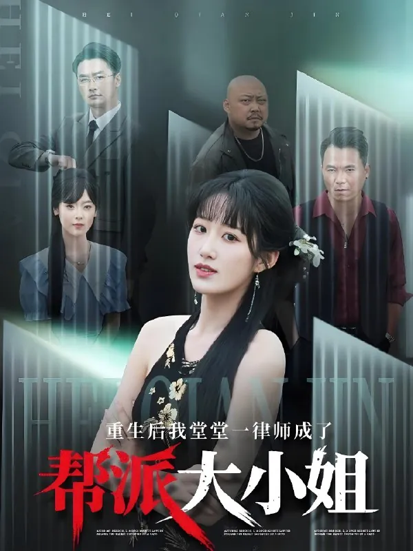 重生后我堂堂一律师成了帮派大小姐net 网络资源