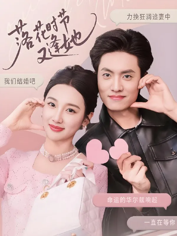 落花时节又逢她net 网络资源