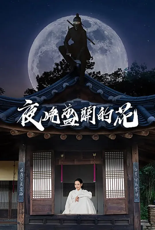 夜晚开的花net 网络资源