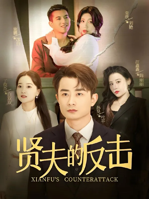 贤夫的反击net 网络资源
