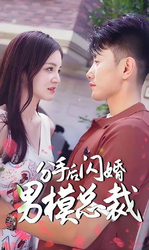 分手后闪婚了男模总裁net 网络资源